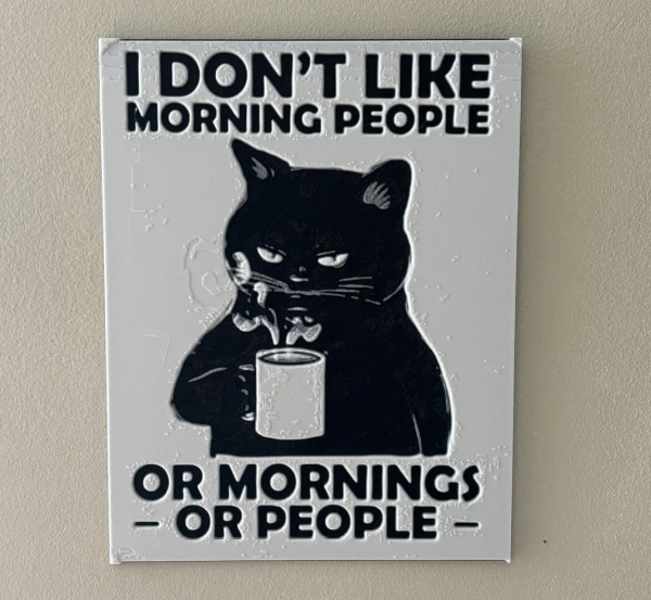 Grumpy Cat